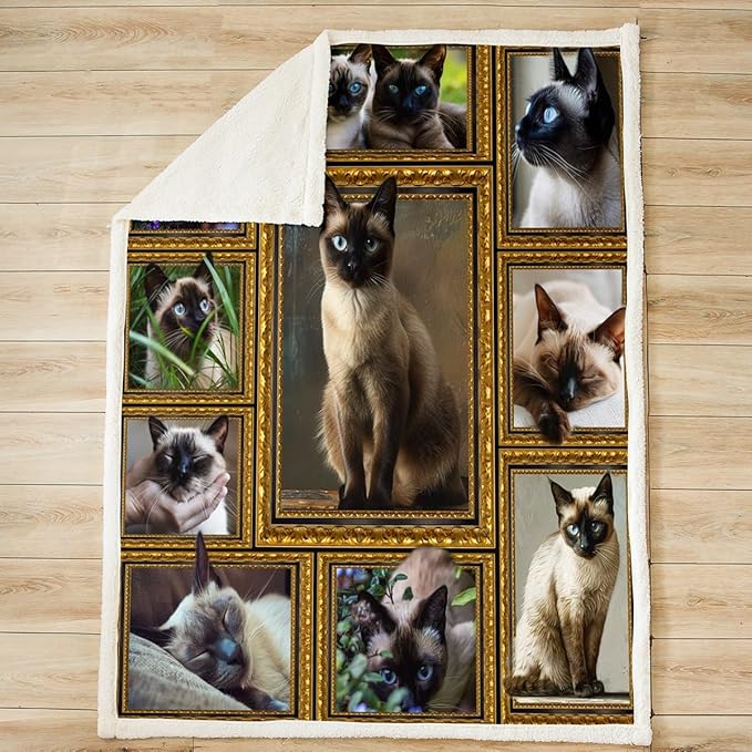 Feelyou Siamese Fleece Throw Blanket for Bed Sofa Couch Cute Cat Plush Blanket 40"x50" Kawaii Kitten Sherpa Blanket Gift for Siamese Lover Fuzzy Blanket Flannal Blanket