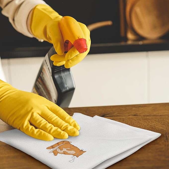 Cartoon Orange and Brown Cat Kitchen Towels Set of 2, Funny Cat Lover Mom Lady Gifts Dish Towels for Kitchen Decor, Cute Kitten Hand Towels for Bathroom Decor, 16x24 Inch