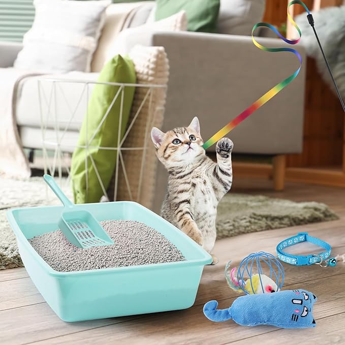 7 Pcs Small Cat Kitten Starter Kit Cat Litter Box with Shovel Cat Paw Litter Mat Double Automatic Cat Bowls Cat Toy Teaser Stick Cat Collar Essentials Kits for 1-3 Lbs Beginner (Blue,Simple)