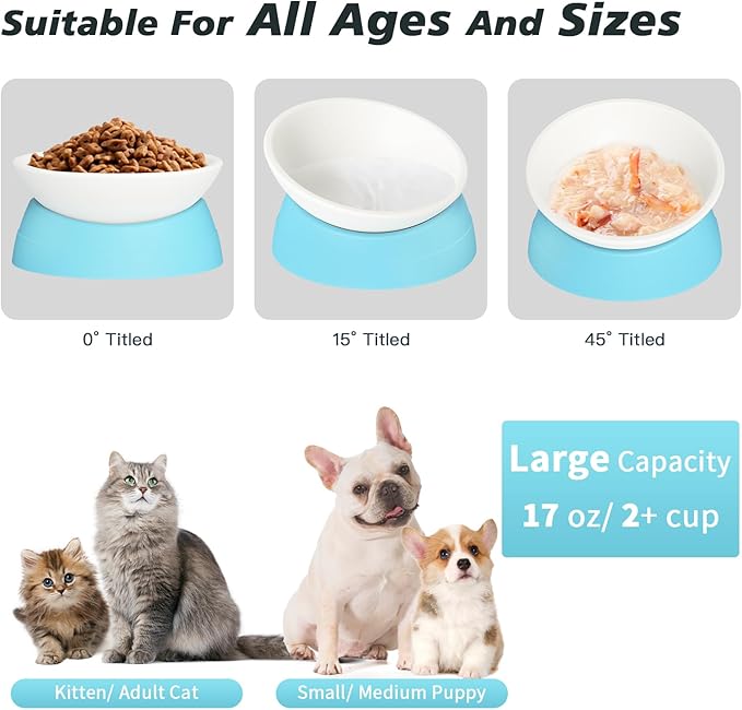 2Pcs Cat Bowls Elevated Cat Food Bowl Adjustable Cat Dish Anti-Slip and Anti-Noise Raised Cat Bowl Protecting Pet’s Spine Thickened Plastic Bowl Suitable for Indoor Cats, 17 Oz