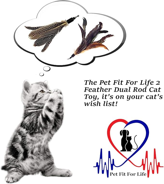 Pet Fit For Life 2 Feather Teaser and Exerciser for Cat and Kitten - Cat Toy Interactive Cat Wand