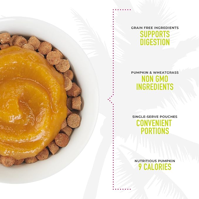 Tiki Cat Born Carnivore Functions Digestion, Pumpkin Recipe Puree, Formulated to Support Healthy Digestion, Mousse Cat Food Topper, 1.5 oz. Pouch (12 Count)