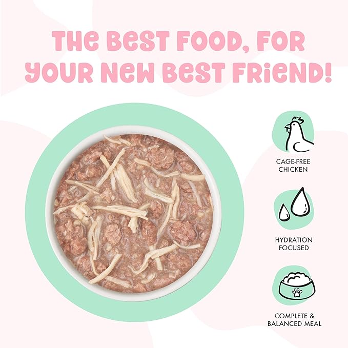 B.F.F. Kitten, Cute to Boot, 2.8oz Can (Pack of 12)