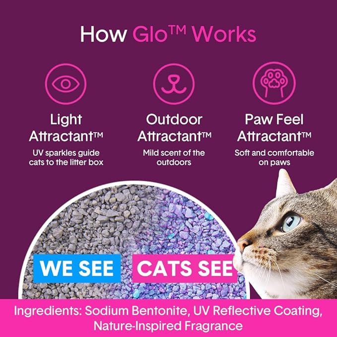 Boxie® Glo™ 30 Day Odor Control Clumping Clay Cat Litter, 40 lb, Multi-Cat, 99.9% Dust-Free, Low Tracking, UV Light Attractant, Superior Clumping for Easy Scooping
