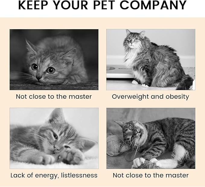 Cat Tunnel with Play Ball, Interactive Peek-a-Boo Cat Toys Cat Tube Toy, Colorful Y-Tunnel