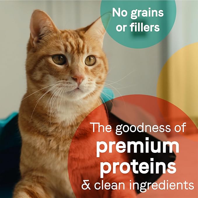 Canidae Pure Adore Premium Wet Cat Food, Salmon & Whitefish in Broth, 2.46 oz. (Case of 24), Grain Free