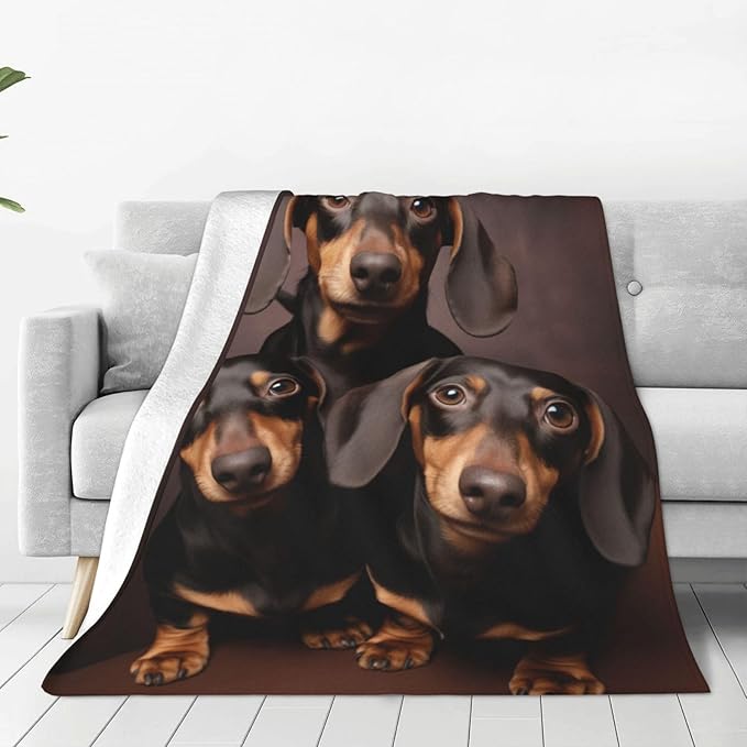 Dachshund Blanket Love Dachshund Soft Warm Flannel Throw Dog Blankets Wiener Dog Blanket Fuzzy Dachshund Gifts for Women Girls Kids Adults Couch Bed Chair Sofa Valentine's Day Decor 50"x 60"