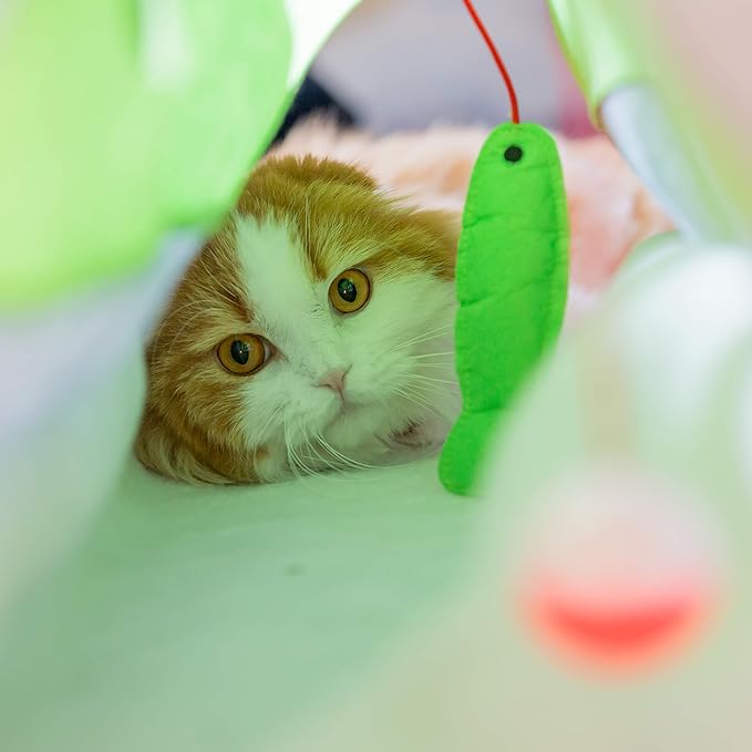 Youngever 15 Cat Toys Kitten Toys Assortments, Cat Crinkle Play Mat, Cat Teaser Wand Interactive Toys Cat Springs, Crinkle Balls for Cat, Puppy, Kitty, Kitten