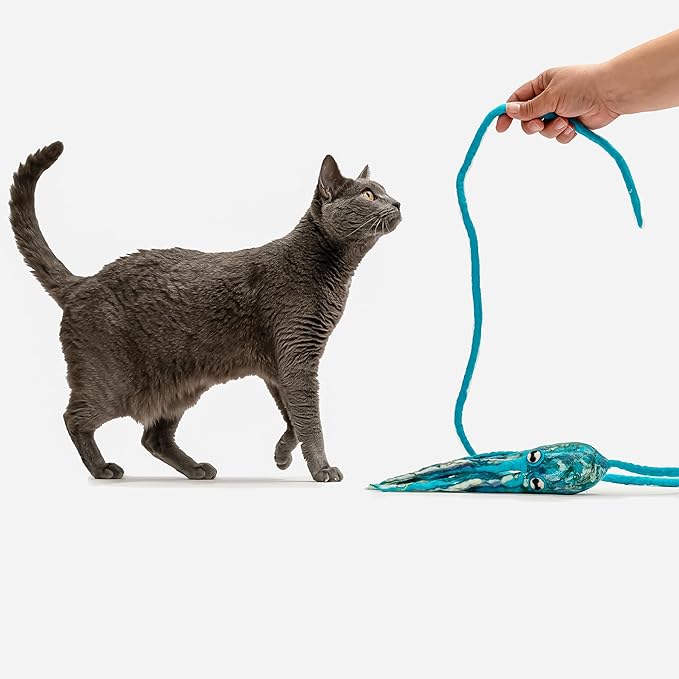 Cat in the Box Ink Floyd Wool Cat Octopus Toy with a 4-Foot Tether for Indoor Cats Kittens. Cute Cat Toy. Cat Kicker. Cat String Toy. Plush Cat Toy. Teaser Wand Kicker for Active Cats. No Catnip.
