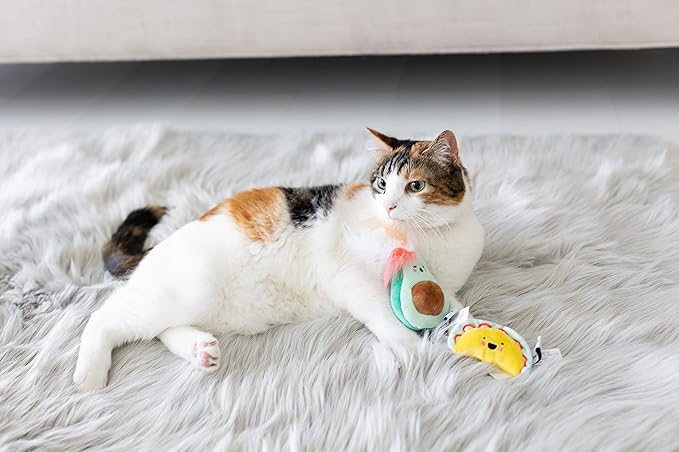 Pearhead Taco Time Cat Toy Set, Crinkle and Feather Catnip Cat Toy Set, Cat Owner Playtime Pet Accessory, Pet Toys, Cat Teaser Toys, Cat Owner Pet Toy Sets, Must Have Pet Accessories for Pet Owners