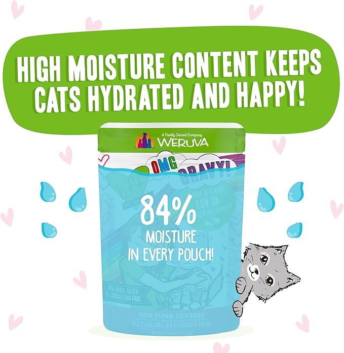 Weruva B.F.F. OMG - Best Feline Friend Oh My Gravy!, Tuna & Lamb Luv Ya with Tuna & Lamb in Gravy Cat Food, 3oz Pouch (Pack of 12)