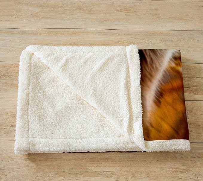 Lion Safari Animal Duvet Cover - 3D American Wild Cat Throw Blanket for Boys & Girls - Cougar Fleece Sherpa Blanket - 50"x60" Autumn Room Decor