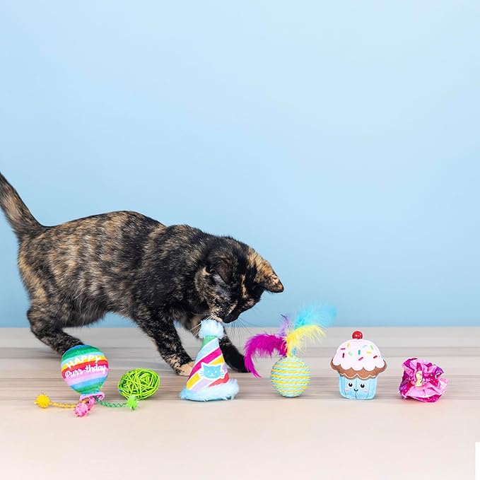 Fringe Studio "Happy Purr-THDAY, Set of 6, Multipack Cat Toy Set, Pet Shop Collection (610007)