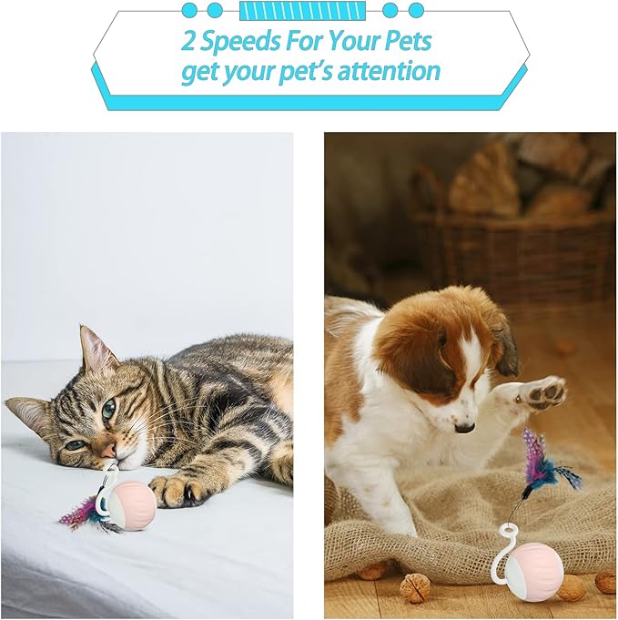 Turbo Tail Cat Toy Interactive Cat Balls Cat Toys For Indoor Cats, Turbo Tail Mouse Cat Toy With LED Rainbow Lights Feathers & USB Charging Cable, Touch Control And Sound Control Smart Cat Ball Toy