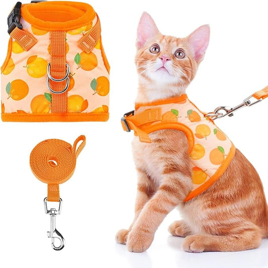 BINGPET Cat Harness with Leash Escape Proof - Fashionable Mesh Cat Dog Walking Harness Leads, Adjustable for Kitties Puppies Small Animals, Large