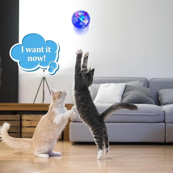 Sratte 6 Pieces Ghost Hunting Cat Ball Activated Cat Toy Ball Motion LED Light Cat Balls Motion Cat Dog Interactive Toys Pet Glowing Mini Running Exercise Ball Toys for Animals Activity(Clear)