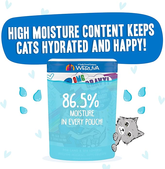 Weruva B.F.F. OMG - Best Feline Friend Oh My Gravy!, Ciao Baby! with Chicken & Shrimp in Gravy Cat Food, 2.8oz Pouch (Pack of 12)
