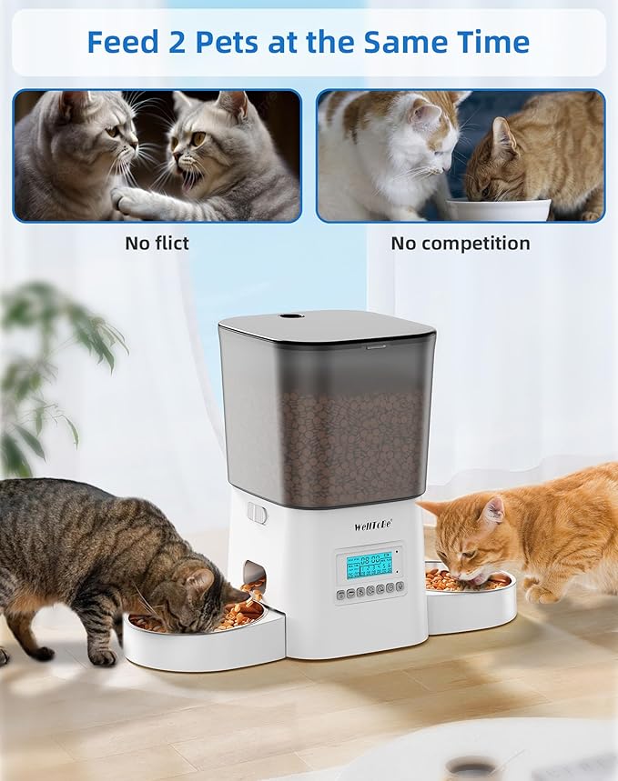 WellToBe Dual Cat Automatic Feeder for 2 Cats, Timed & Flexible Feeding, Voice Recorder, Dual Power Supply, Freshness Seal, Anti-Ant Design for Multiple Cats.