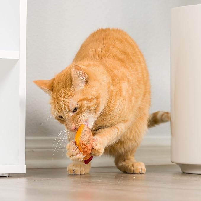 Huxley & Ket Plush Cat Toy | Hairball Cinnamon Whiskey | Nappy Hour Strong Catnip Filled Cat Toy | Plush Interactive Kitten and Cat Toy with Catnip and Crinkle | Kittybelles