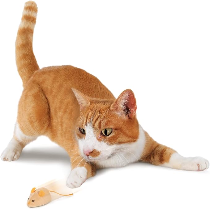 SmartyKat Race 'N Chase Electronic Motion Remote Controlled Mouse Cat Toy, Battery Powered - Gray/Orange, One Size