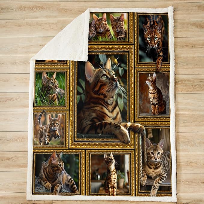 Feelyou DragonLi Fleece Throw Blanket for Bed Sofa Couch Cute Cat Plush Blanket Throw 50"x60" Kawaii Kitten Sherpa Blanket Gift for DragonLi Lover Fuzzy Blanket Flannal Blanket