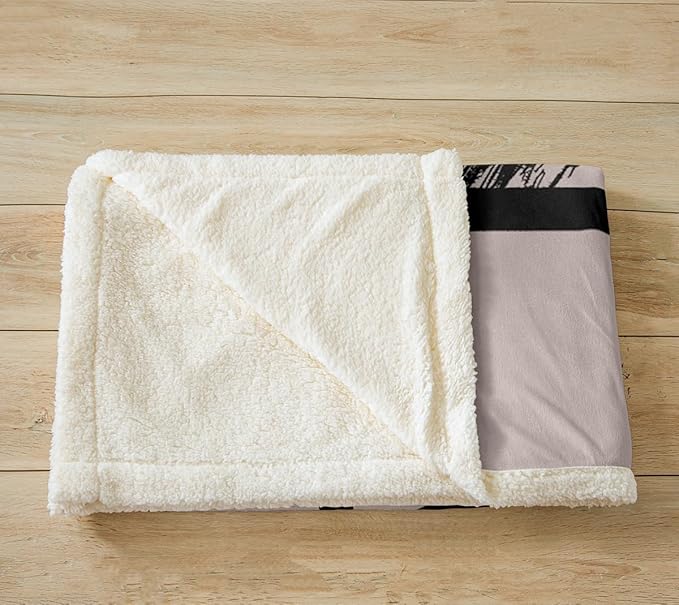 Pet Cats Sherpa Blanket Cute Animals Fleece Throw Blanket for Sofa Couch Bed Cat Sitting On The Window Plush Blanket Moon Star Black White Fuzzy Blanket Grey Bedroom Decor Twin 60"x80"