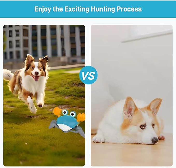 Crawling Crab Dog Cat Toys, Escaping Crab Dogs Cats Toy with Obstacle Avoidance Sensor Interactive Pet Toys with Music Sounds & Lights for Dogs Cats Dancing Crab Toys Gifts for Puppy Small Medium