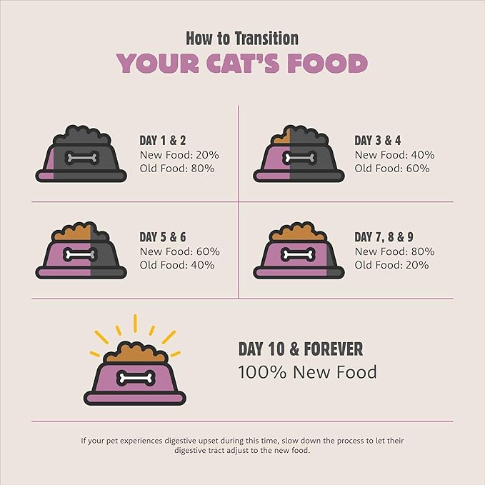 Meadow Roast, Dry Cat Food, Chicken Meal and Duck Meal Adult Recipe with Grains, 3 lb Bag