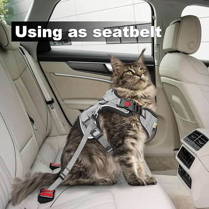 Cat Harness and Leash for Walking, Retractable Cat Harnesses and Leash Set Escape Proof, Breathable Soft Kitten Harness Small Large Cat Harness for Travel Training and Walking, Grey, XS