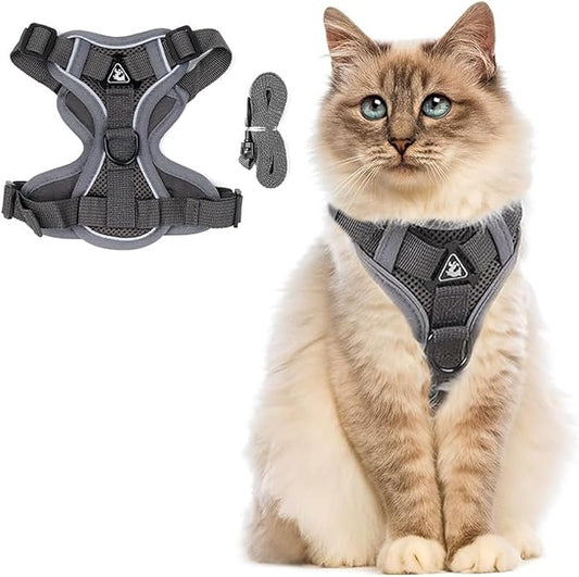 PetnBeyond Kitten Harness and Leash Set - Secure, Comfortable Control with Breathable Mesh Jacket - Adjustable Vest for Safe Walks with Reflective Strips - Kitty Escape Proof Kit (Medium, Grey)
