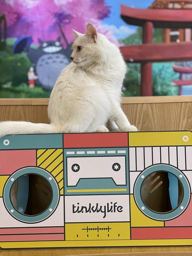 Cat Condo Scratcher Cardboard, Rectangle Shape Stereo Pattern Cat Scratching House Bed, Green Colour