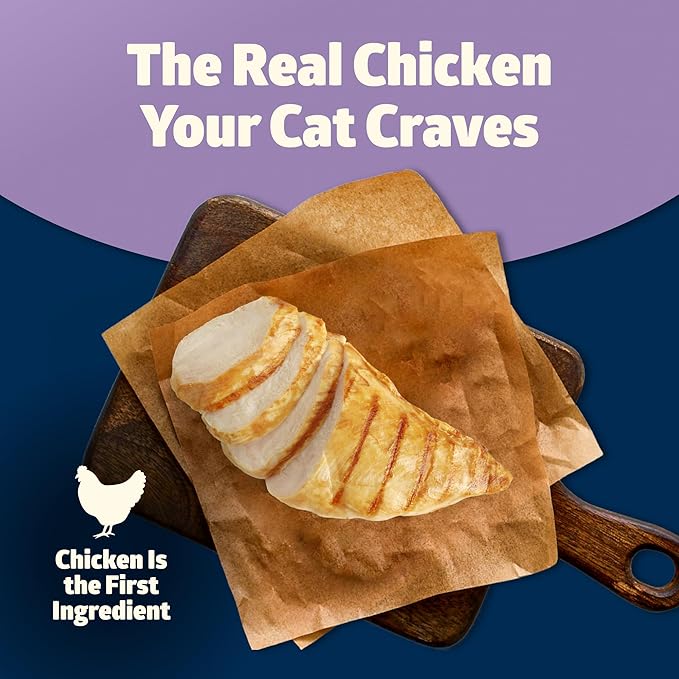 Blue Buffalo Freedom Grain-Free Adult Wet Cat Food, Complete & Balanced Nutrition for Indoor Cats, Made with Natural Ingredients, Chicken Recipe, 3-oz. Cans (24 Count)