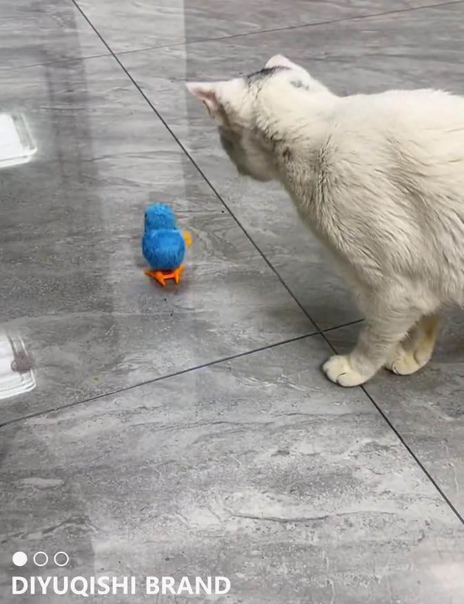 Cat Toys, 15 Pieces Set, Includes Kitten Toys, Like Plush Balls and a Mechanical Chick, Bell Balls, and Soft Toys for Indoor Cats to Play and Stay Active, Safe Materials for Hours of Fun