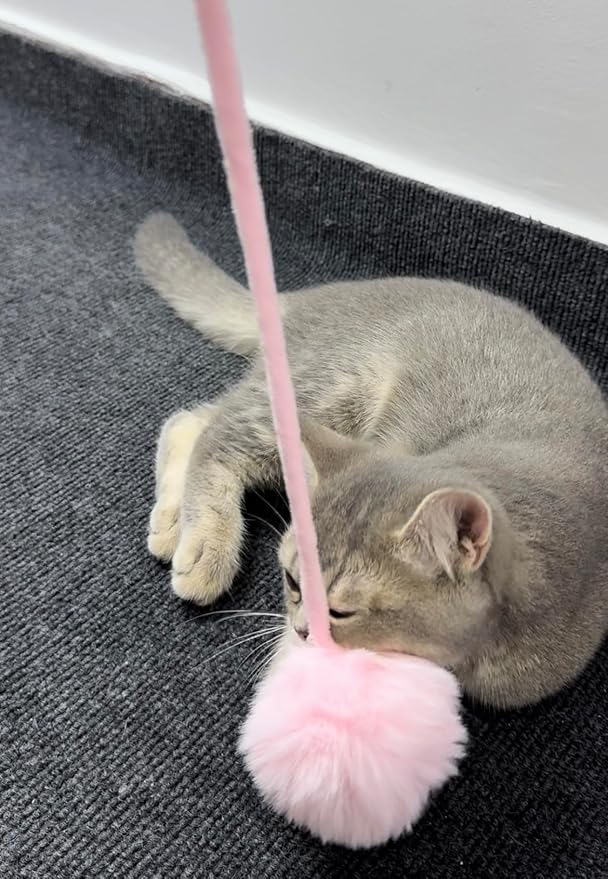 3 PCS Cat Toy Door Hanging Teaser Cat Swing Toy Interactive Toy Hanging Door Retractable Cat Wand Toy Interactive Hanging Cat Toy Cat Mental Exercise Toy Cat Feather Toy for Play Chase