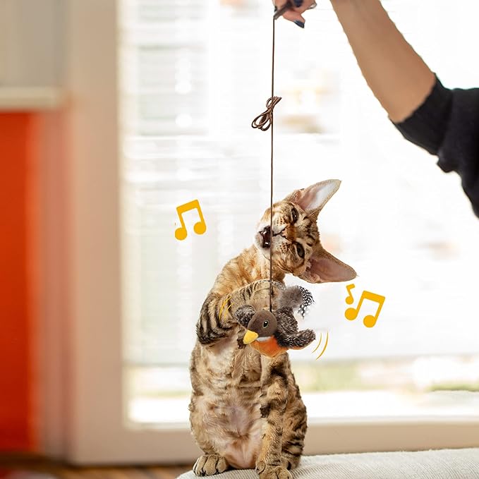 Cat Toys for Bored Indoor Cats, Cat Bat Wings with Catnip Cats, USB Rechargeable Motion Activated Kitten Toys, Interactive Flapping and Chirping Bird Cat Toy