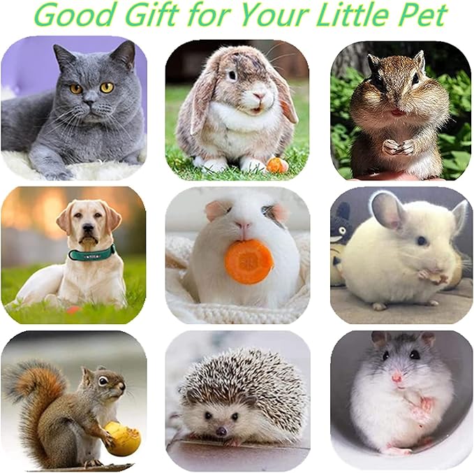 Cat Toys, 7 Pack Silvervine Cat Feather Toy Kitten Chew Stick Catnip Treat with Bell for Cleaning Teeth Indoor Kitty Teaser Wand Molar Snack for Interactive Pet Rabbit Bunny Hamster