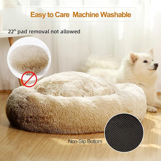 JEMA Calming Small Dog Beds for Small Dogs,Washable Donut Cuddler Pet Bed Cushions,Durable & Cozy Soft Dog Bed with Removable Pad 22 Inch