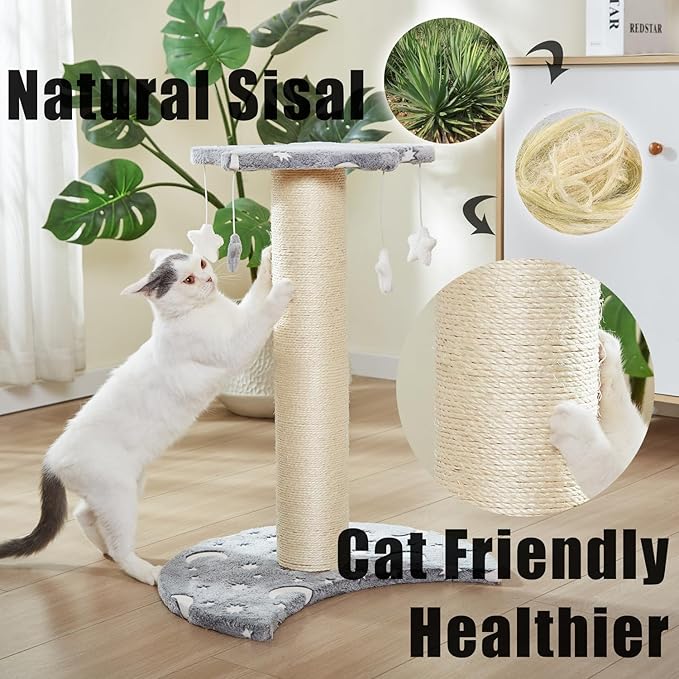 LUCKITTY Small Cat Scratching Post with Star Moon Design, Glow-in-The-Dark Fabric, 5 Plush Toys, Kitten Stratcher Tree Protecting Your Furniture,16 in Wide by 20 in High