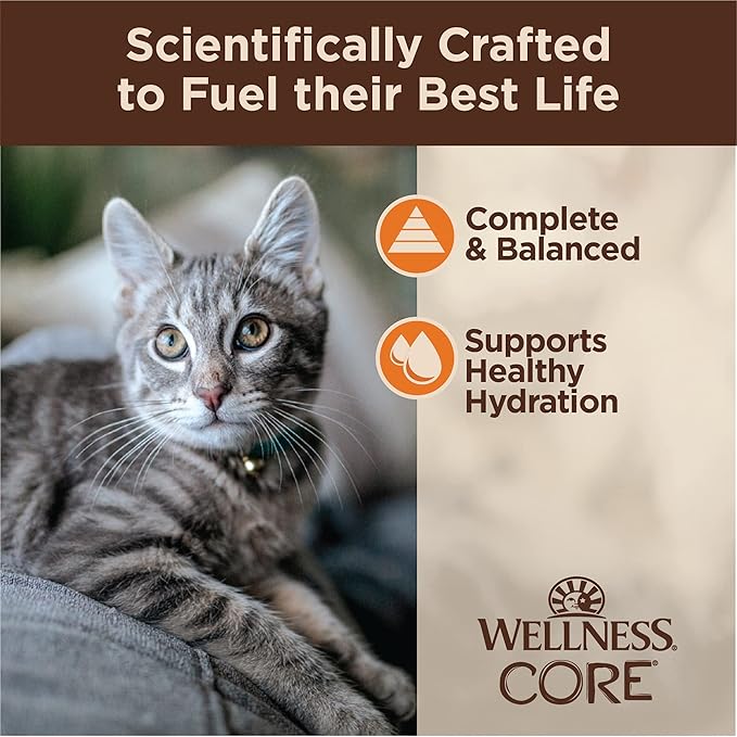 Wellness CORE Tiny Tasters Wet Cat Food, Complete & Balanced Natural Pet Food, Made with Real Meat, 1.75-Ounce Pouch, 12 Pack (Adult Cat, Minced Chicken in Gravy)