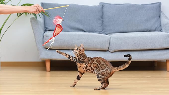 Cat Toy Joey Loves Pizza Catnip Wand, Catnip Inside | Friends for Pets | Interactive Toy for Cats, Dancing Teaser with Ribbons | Cat Exercise Toy with Feathers and Catnip