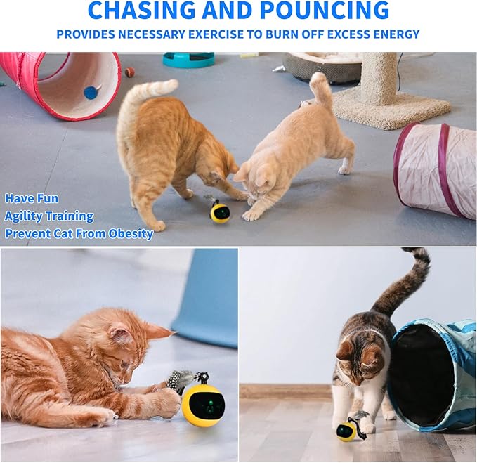 Interactive Cat Toy Ball with Remote Control, Automatic Moving & Rolling Cat Feather Toy, USB Rechargeable, Motion Activated Remote Control Cat Toy for Indoor Cats