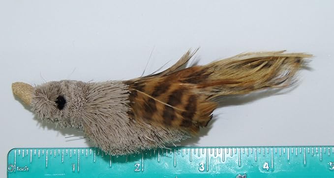 House Finch Bird Refill/Attachment- Fits Wildcat and Popular Bird and Mouse Type Wands/Poles