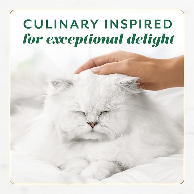 Fancy Feast Gems Cat Food Mousse With Chicken and a Halo of Savory Gravy Cat Food - (Pack of 8) 4 oz. Boxes