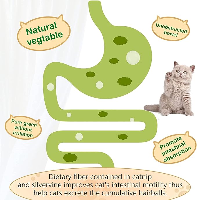 3 Pack Catnip Balls, Catnip Ball for Cats Wall, Edible Kitty Toys for Cats Lick, Safe Healthy Kitten Chew Toys, Teeth Cleaning Dental Cat Toys, Cat Wall Treats (Green)