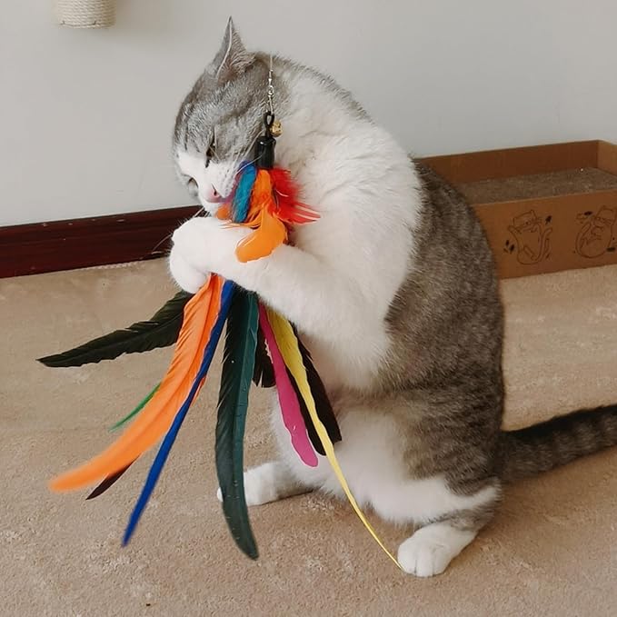 Da Bird Feather Refill - 2 Extra-Large Natural Feather Replacement Attachments(13.8inch) and 4 Feather Toys Refills(5.8inch) for Indoor Cats (6PCS)