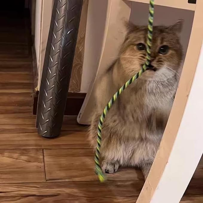 Cat Wand Toys, 3 PCS String Cat Toys Colorful Hemp Rope Cat Stick Interactive Cat Teaser Wand for Cat Kitten Kitty Playing Toy