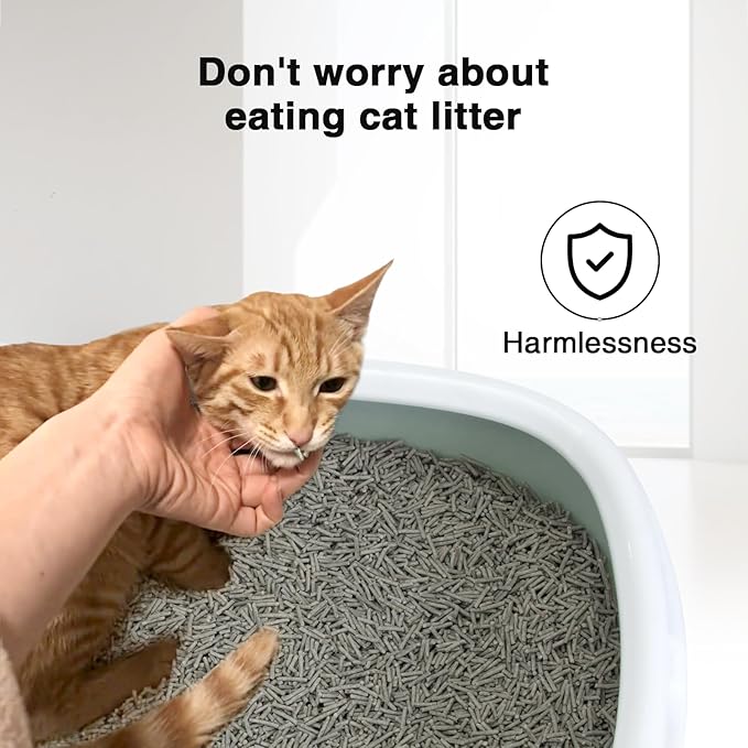 BLUERISE Tofu Cat Litter 6LB×2Bags Natural Cat Litter Flushable Toilet Quick Clumping Dust Free Odor Control Kitty Litter(Activated Carbon 12LB)