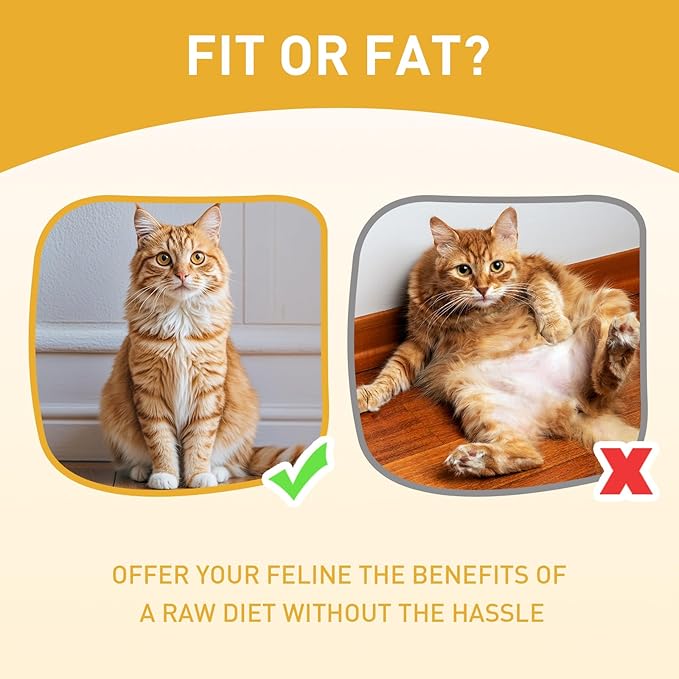 PURPOSE Natural Dry Cat Food, Grain Free Dry Cat Food, Protein Rich Indoor Cat Food for All Breeds and Life Stages, Free-Range Duck Recipe with Postbiotics, 4.5lb Bag, USA Made…