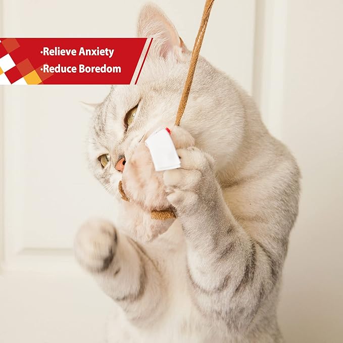 Gigwi Chirpy Cat Mouse Toy Squeak- Cat Toys Interactive Squeaking Mouse Cat Toy Melody Chaser Play and Squeak Kitten Toy, Mouse Sound Cat Toy for Boredom