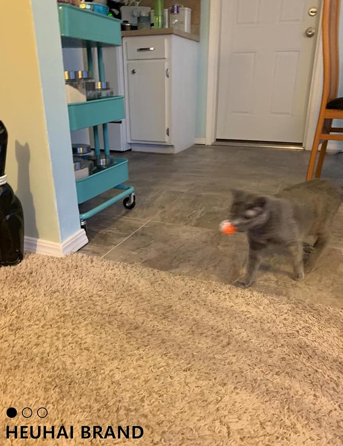 Cat Toy Balls Set - 6 Unique Styles & Colors with Bells, Sturdy Plastic Jingle Balls for Indoor Cats - Encourages Active Play & Mental Stimulation for All Cat Breeds & Sizes